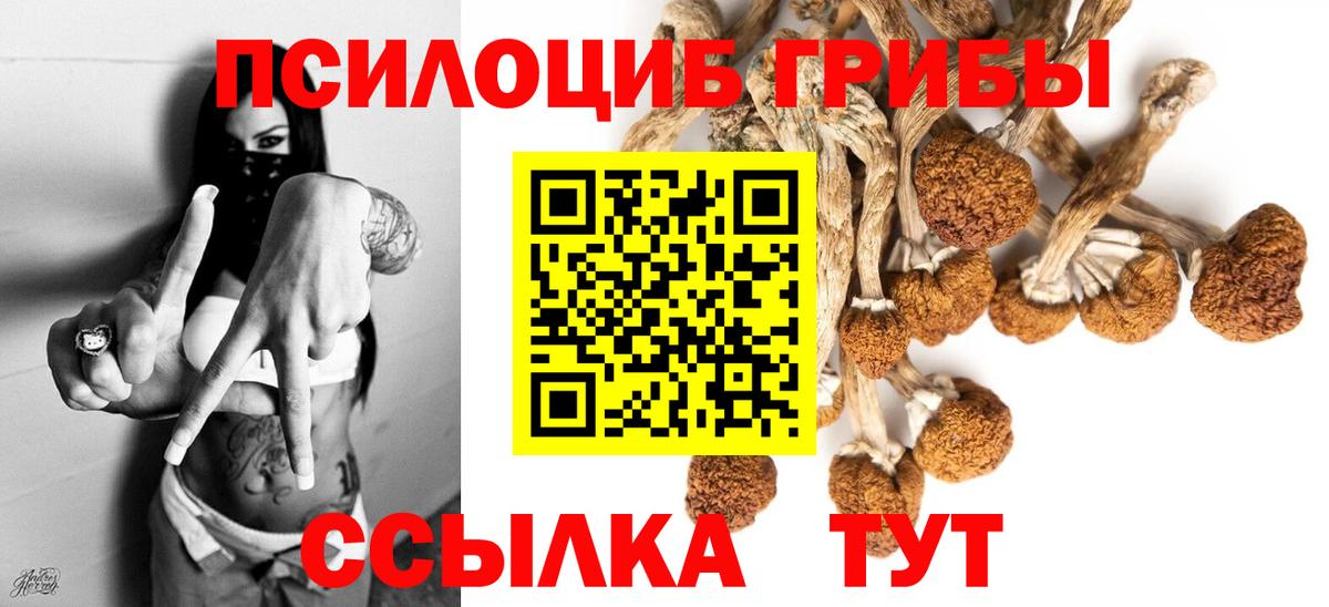 Камышин  Псилоцибиновые грибы мухоморы  Вход с VPN  Галлюциногенные грибы мицелий 